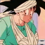 Dragon Ball Z Saiyan Saga